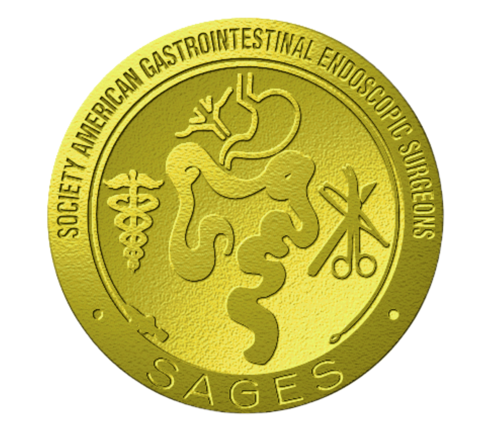SAGES (Society of American Gastrointestinal and Endoscopic Surgeons) certification badge